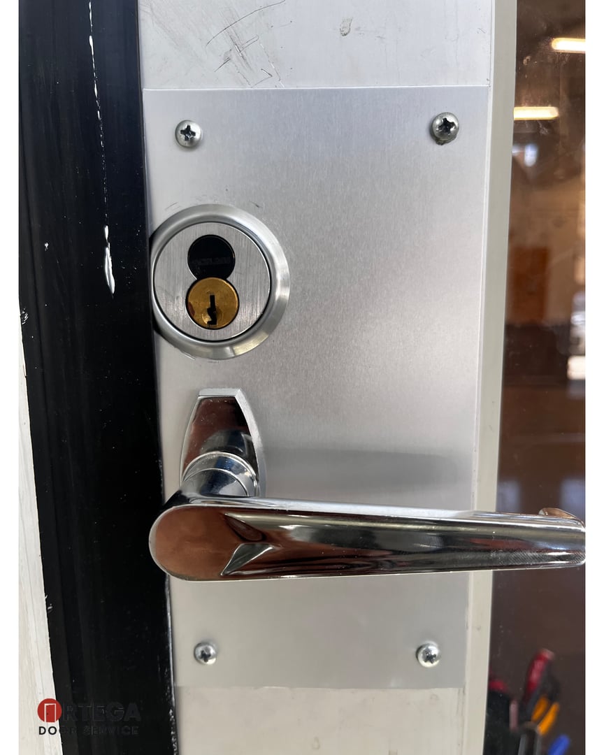 Professional door service project