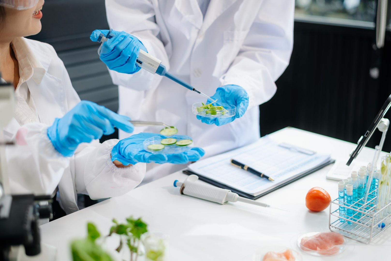 Two Asian scientists in a lab conducting food research using a microscope and lab equipment, showcasing innovation in food science and biotechnology