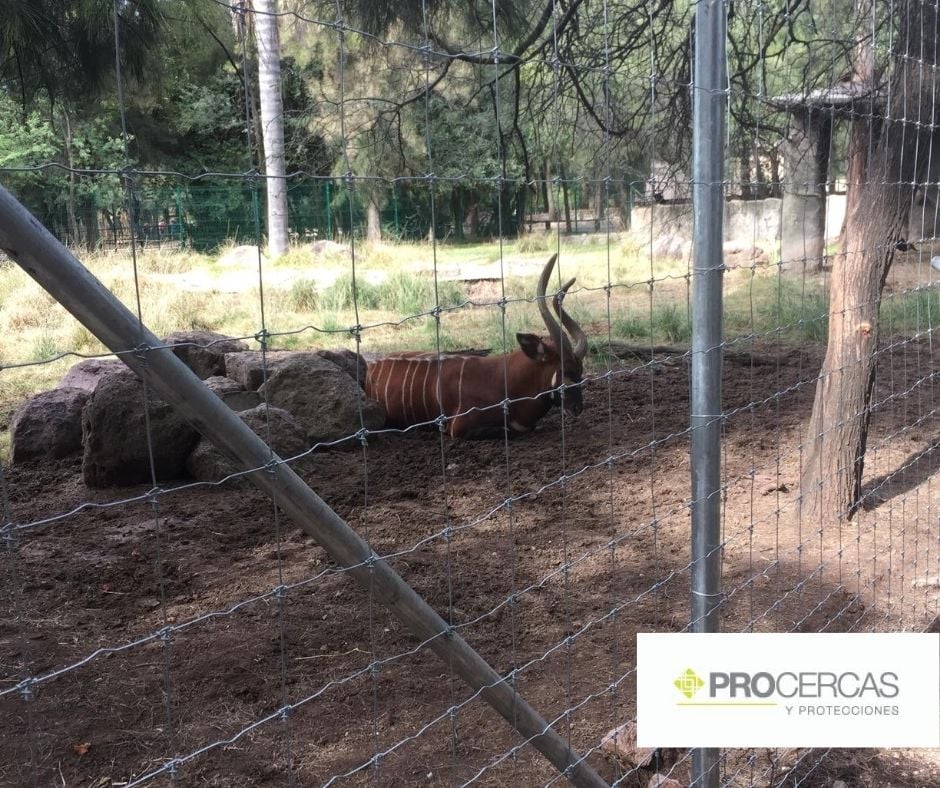 Malla ganadera PROCERCAS