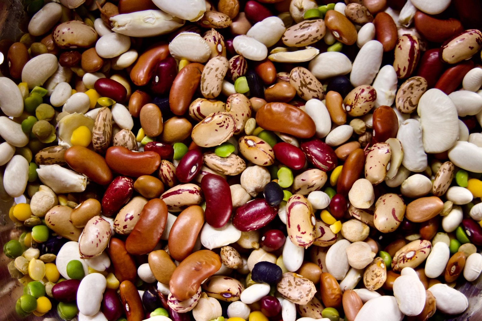 A mixture of dry beans and lentils in a colander bowl
