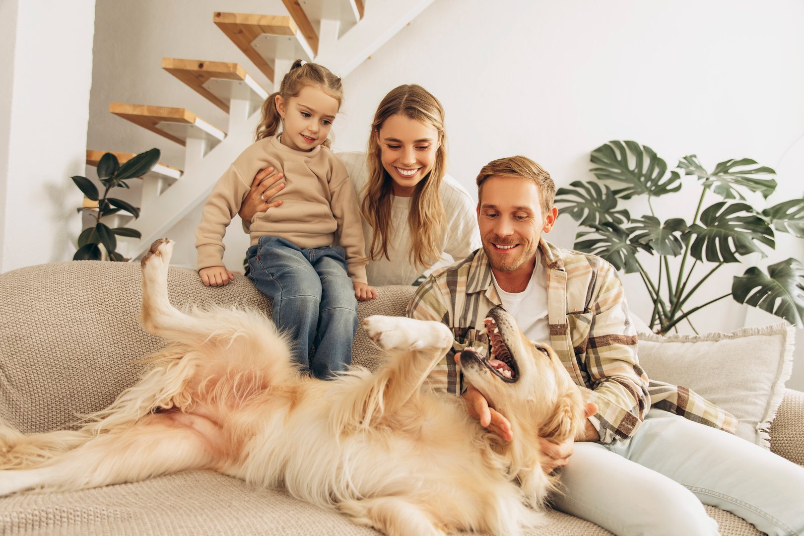 Smiling, happy father and mouther, little daughter sitting on comfortable sofa, playing with golden retriever at home in living room. Love pet concept