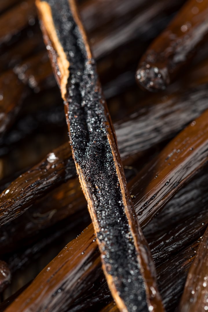 Organic Raw Madagascar Vanilla Beans in a Bunch