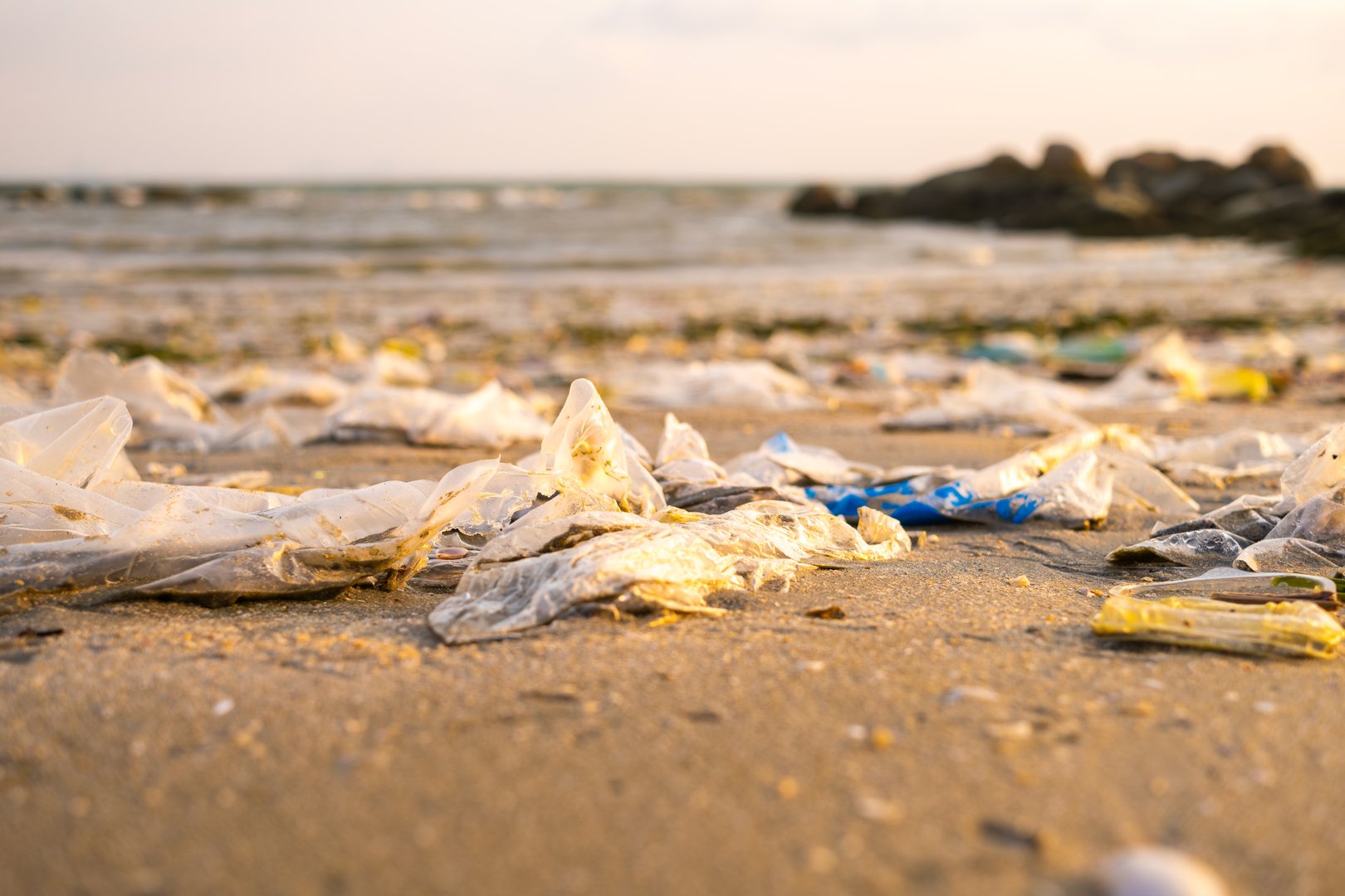 trash, plastic cups and plastic bags at the beach. environmental problem concept and healing the world