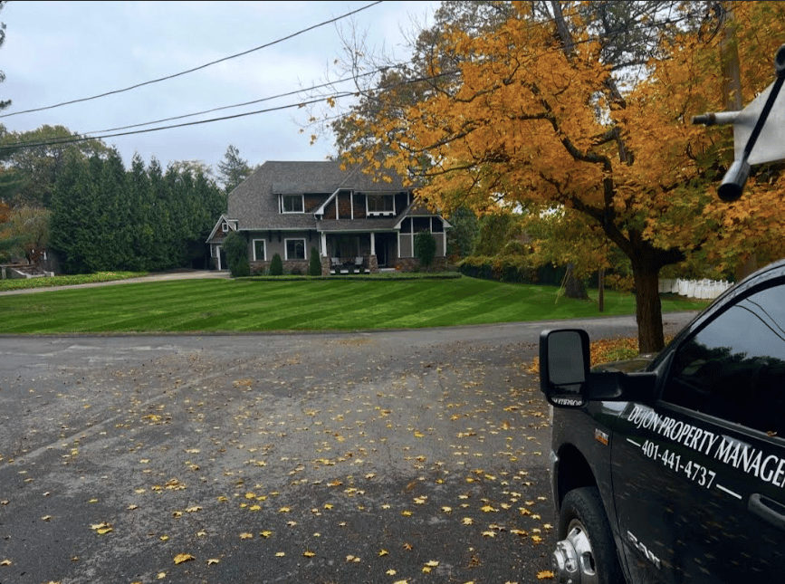 Professional landscaping work
