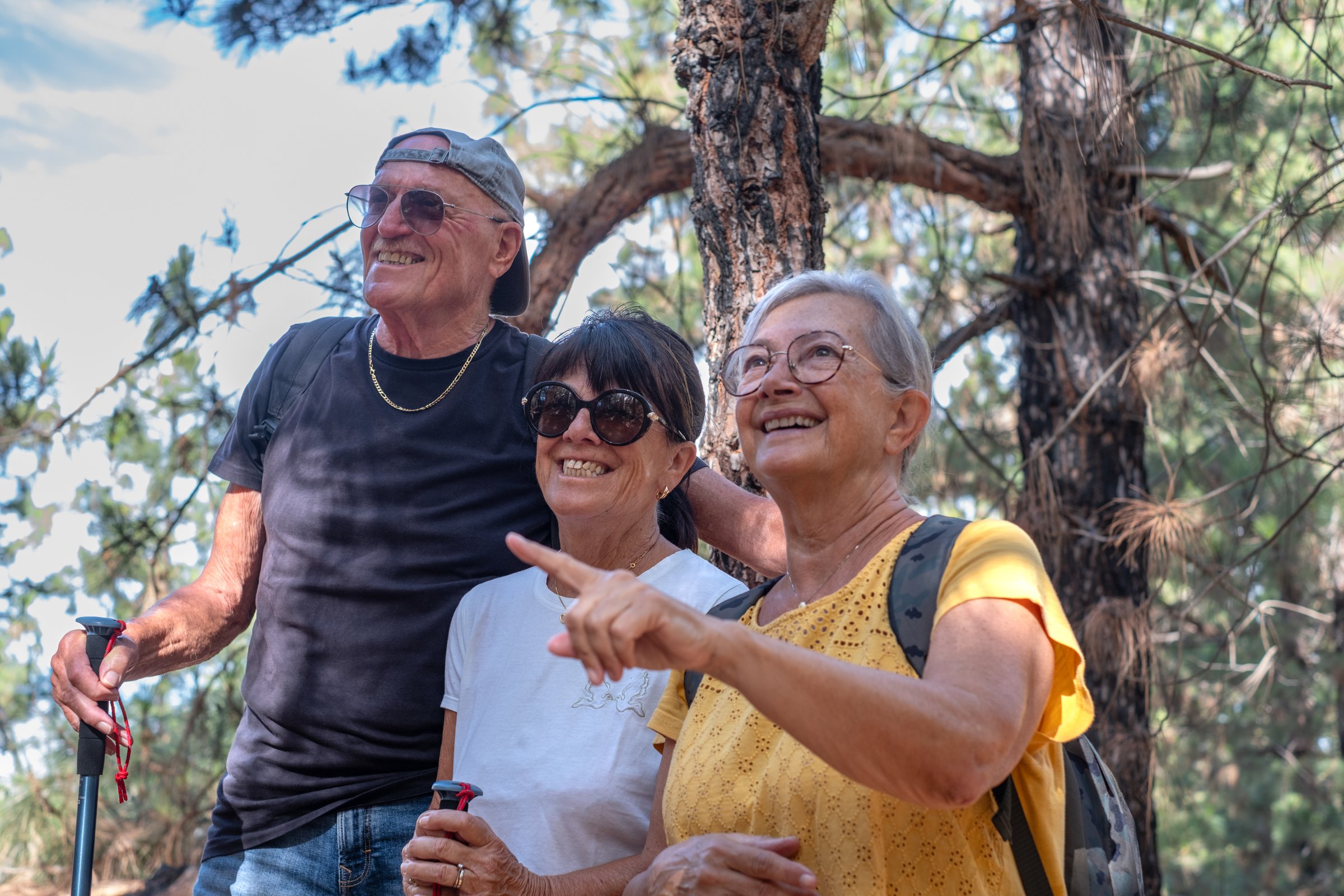 Happy group of senior friends enjoying vacation and adventure trekking in the forest, two elderly women and one man looking at landscape smiling. Sport, freedom, healthy lifestyle concept