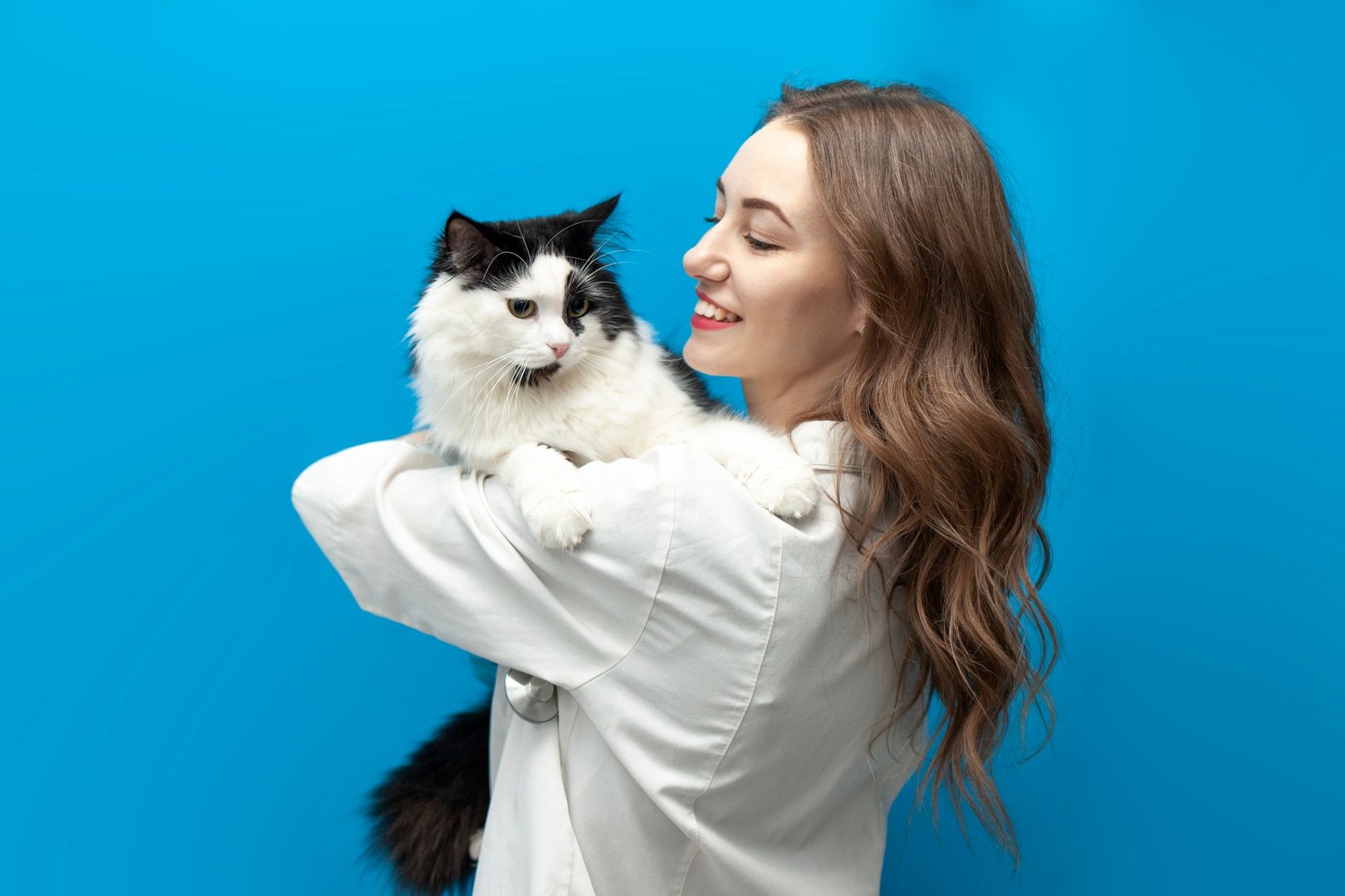 Blue Paw Primary Pet Care Affordable Veterinary Services in Lexington, KY