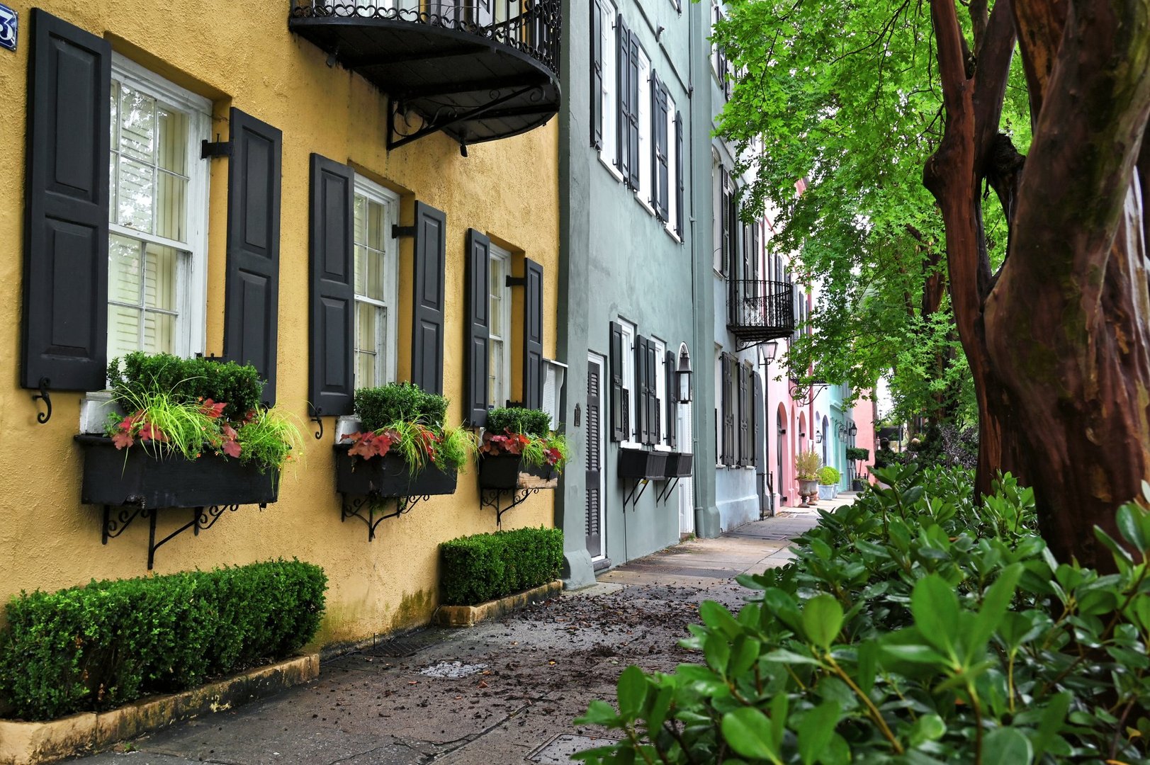Rainbow Row Charleston SC