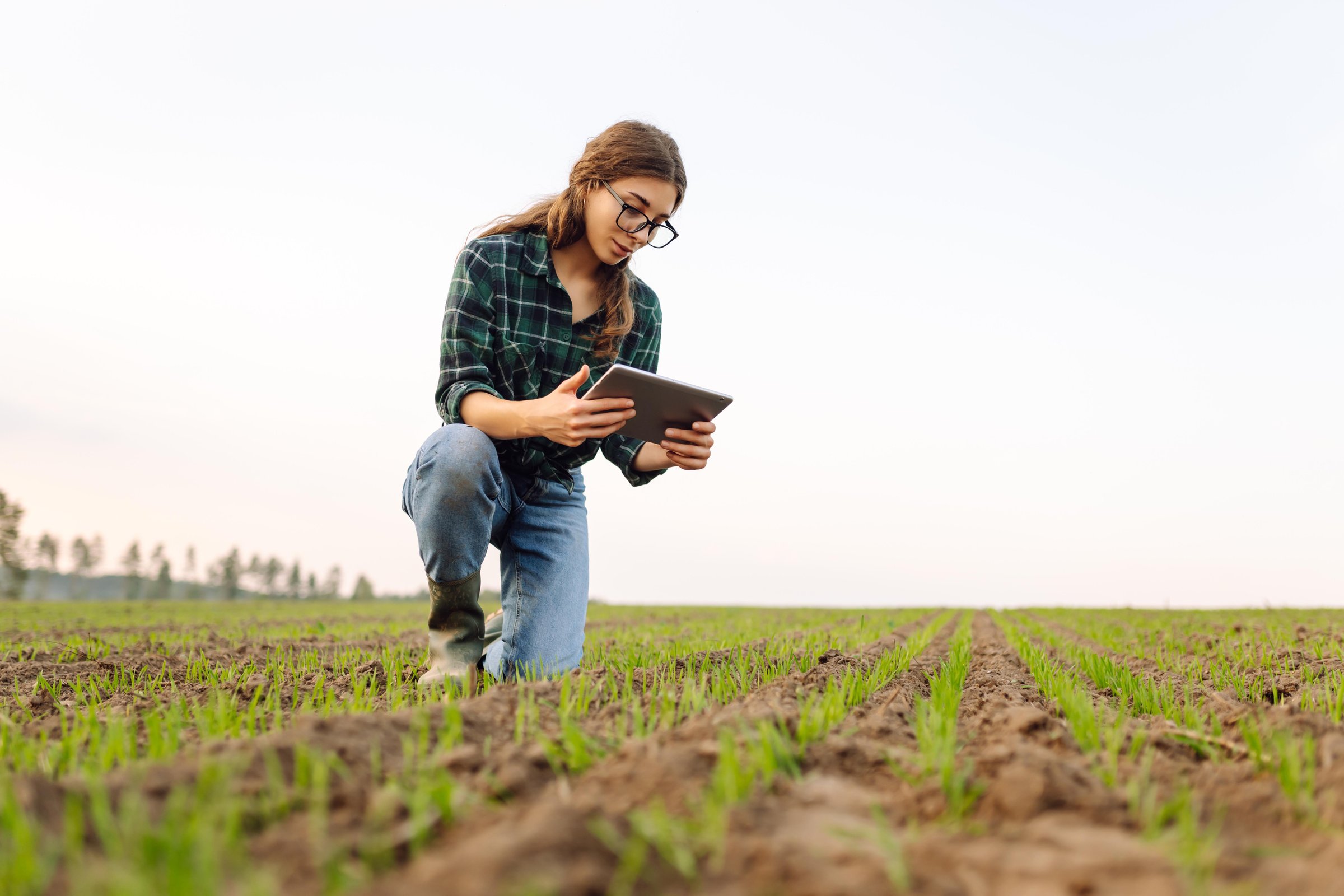 Woman Farmer on a green wheat field with a tablet in his hands. Organic green wheat in the field. The concept of the agricultural business.