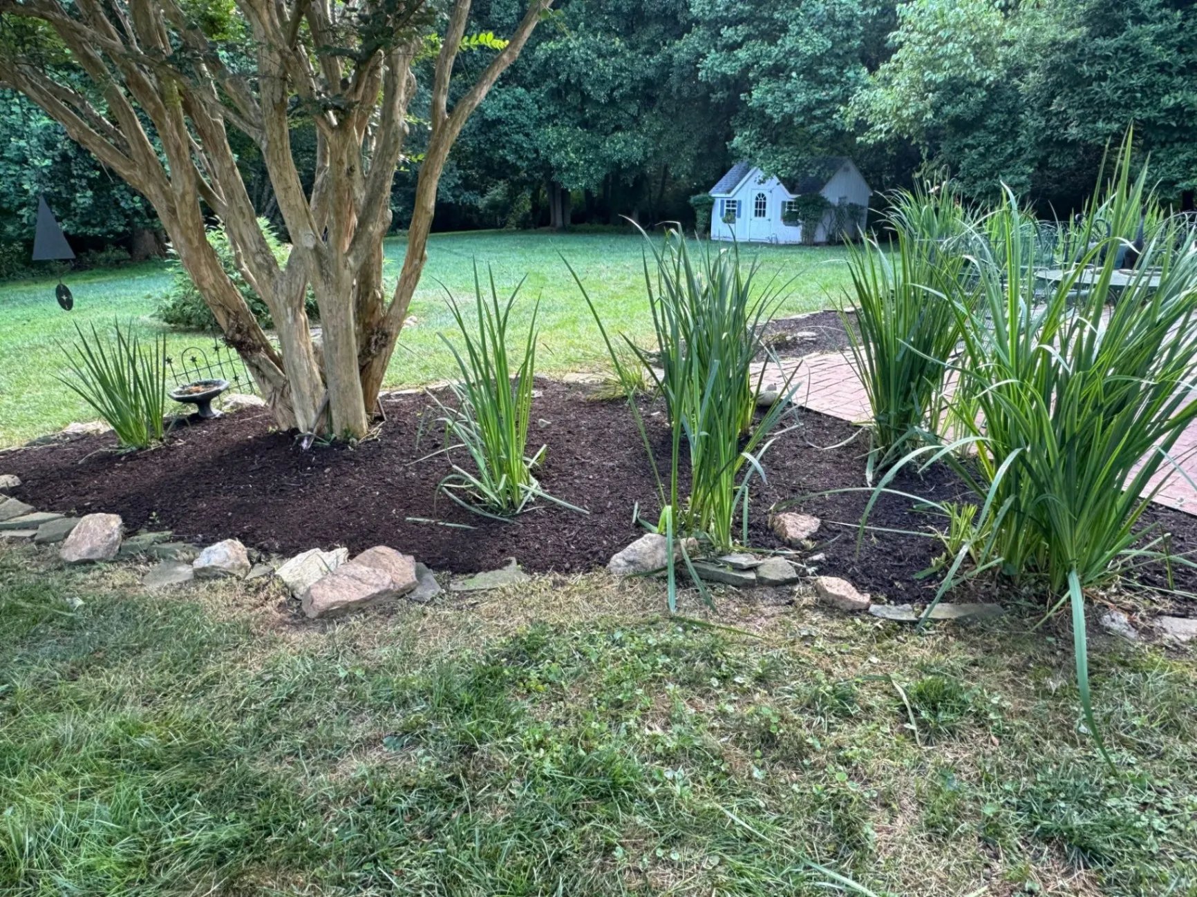 Angels Lawn Service mulching project