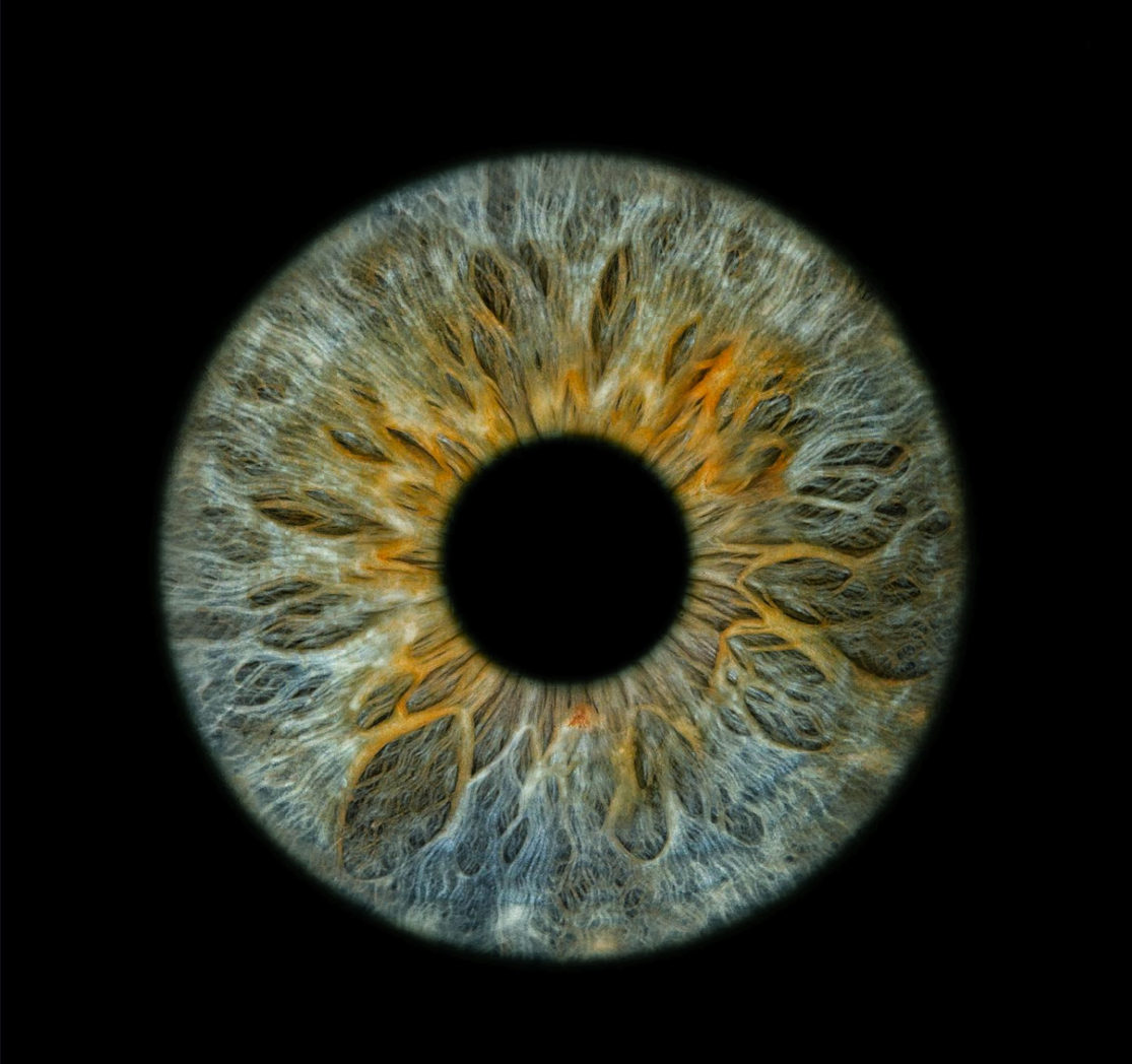 Iris Photography