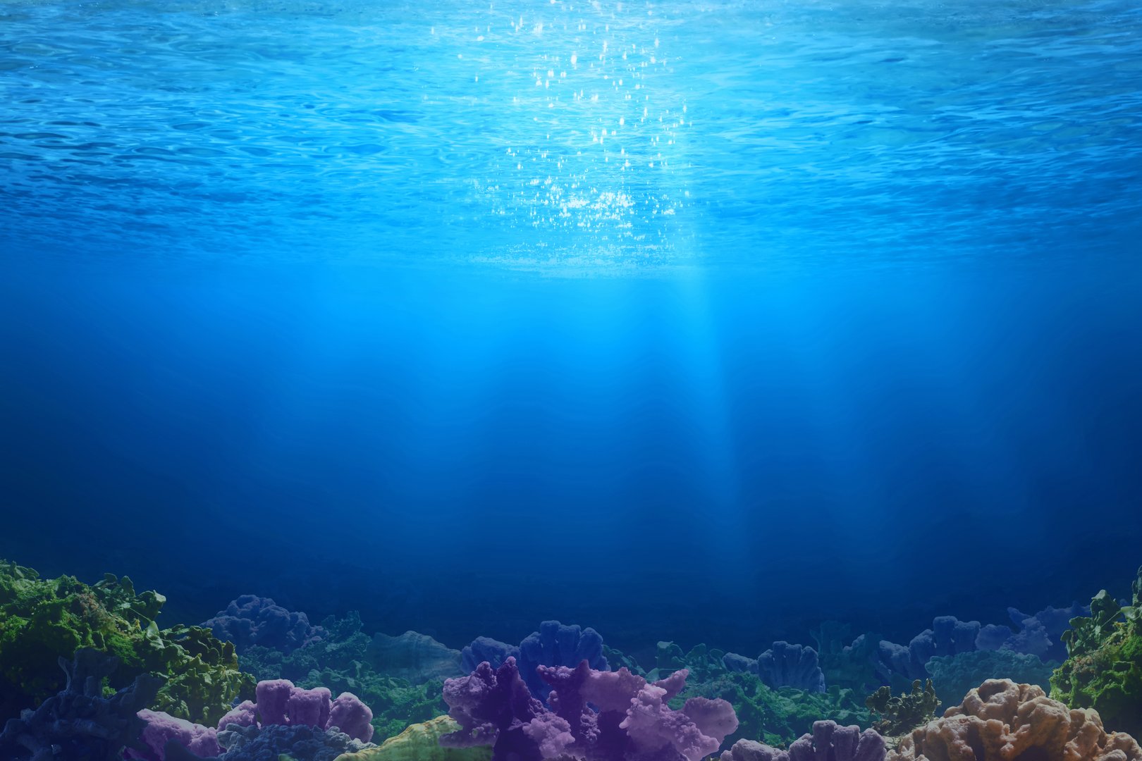 Underwater sea landscape with sunlight, Nature background