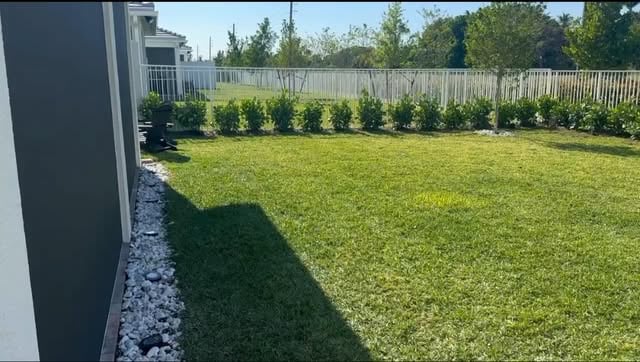 Professional landscaping project showing modern residential garden design with lush plantings and manicured lawn