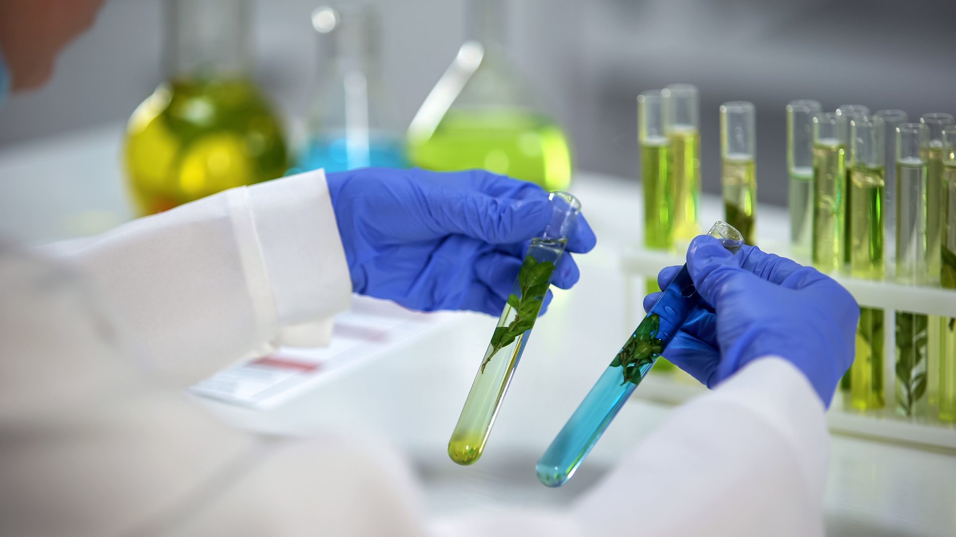 Biochemist comparing plants in tubes with green and blue liquids, preservatives