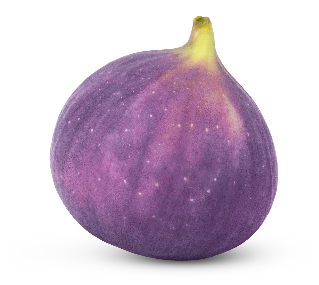 Fresh ripe organic fig fruit isolated. High quality photo