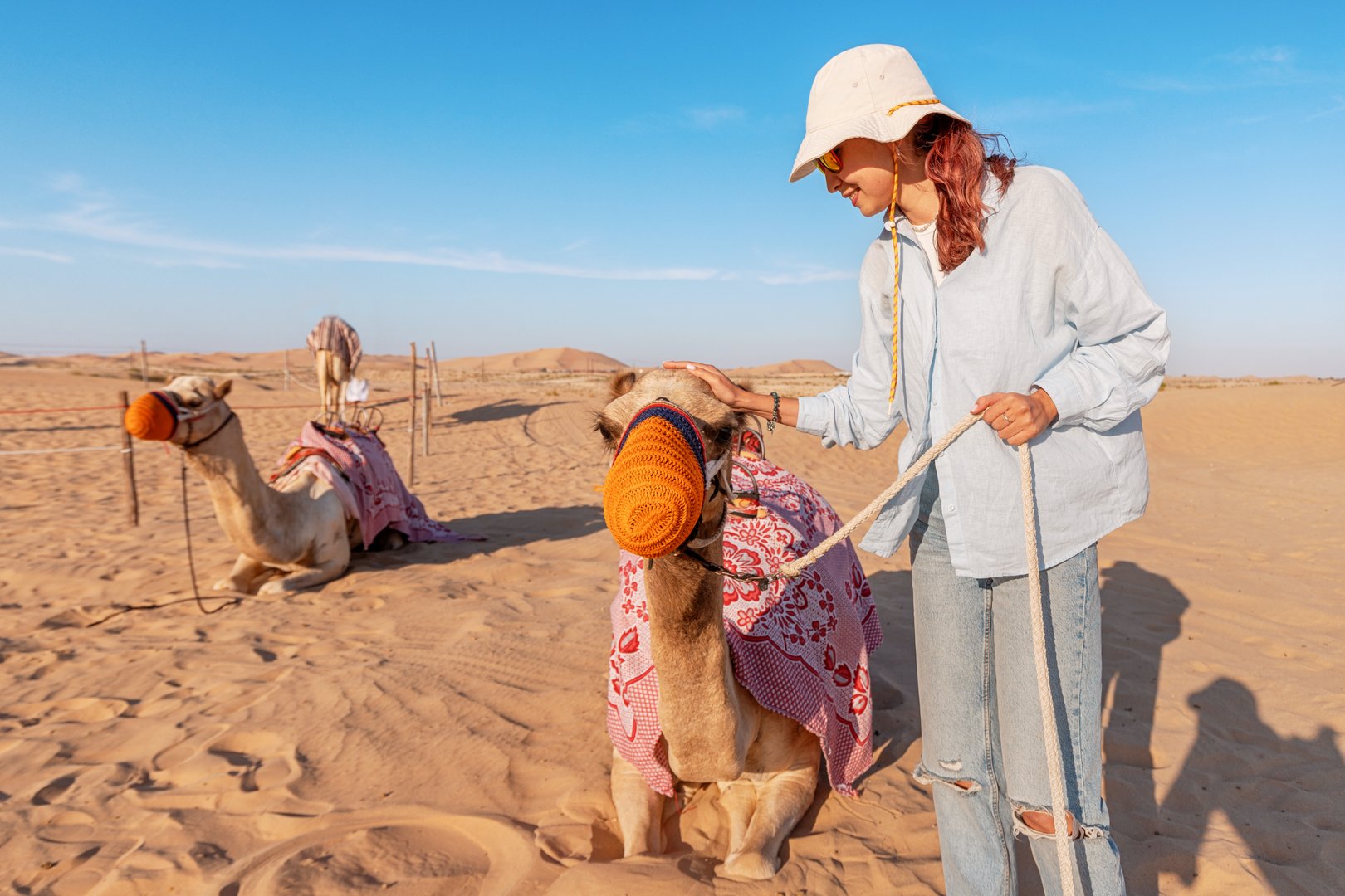 Female tourist petting a saddled camel in a desert landscape, United Arab Emirates