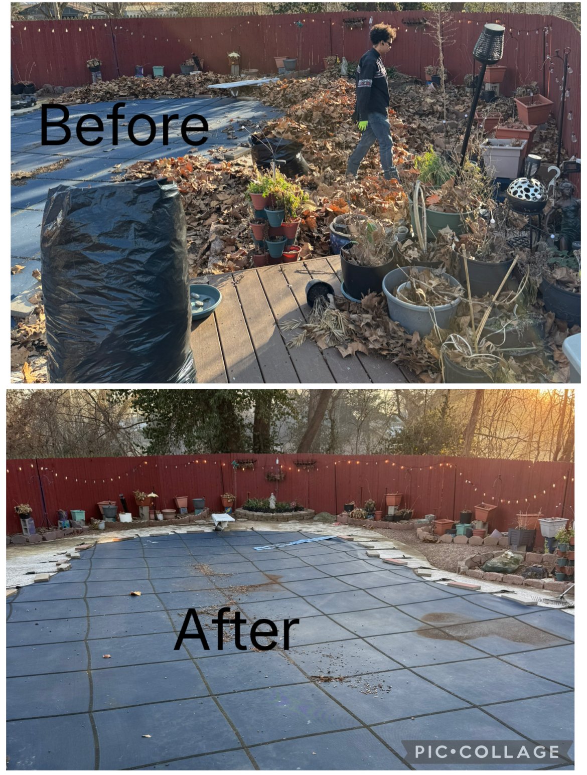 Leaf removal service