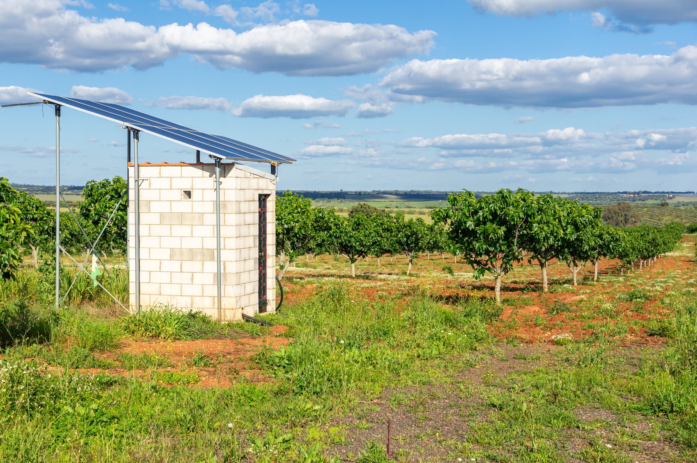 Sustainable Farm Energy: Solar Shed and Fig Orchard.