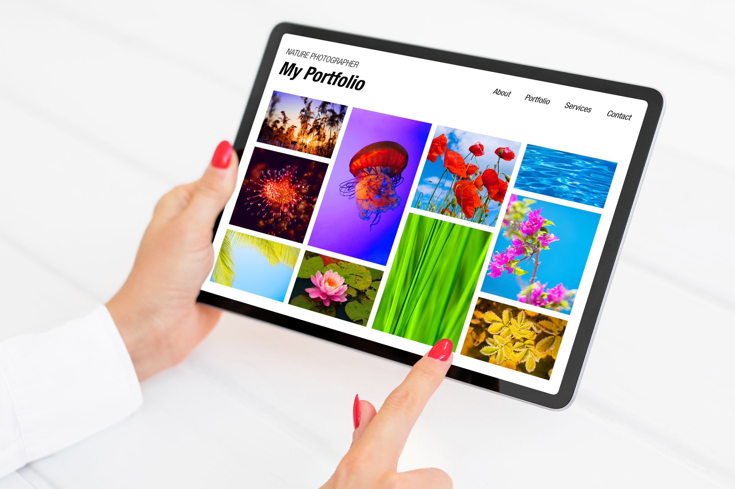 Person browsing nature photography portfolio website on tablet