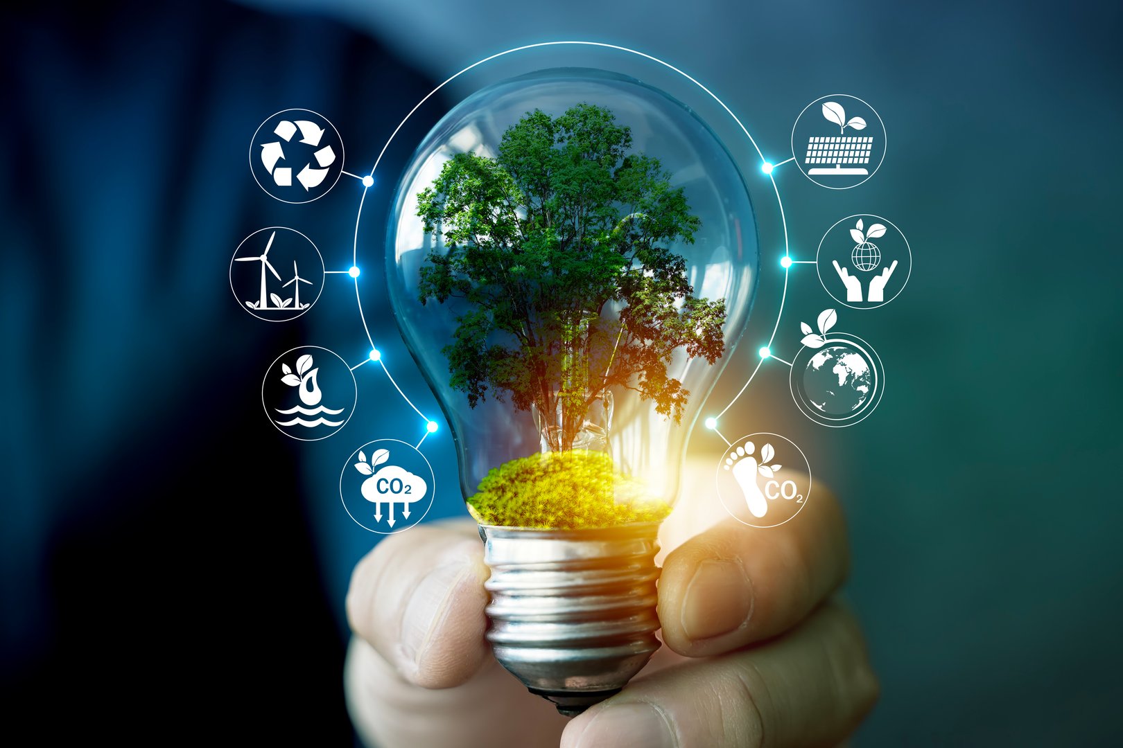 A green tree growing inside a light bulb symbolizes renewable energy, environmental protection, and eco innovation, representing sustainability, clean technology, and a green future for our planet.