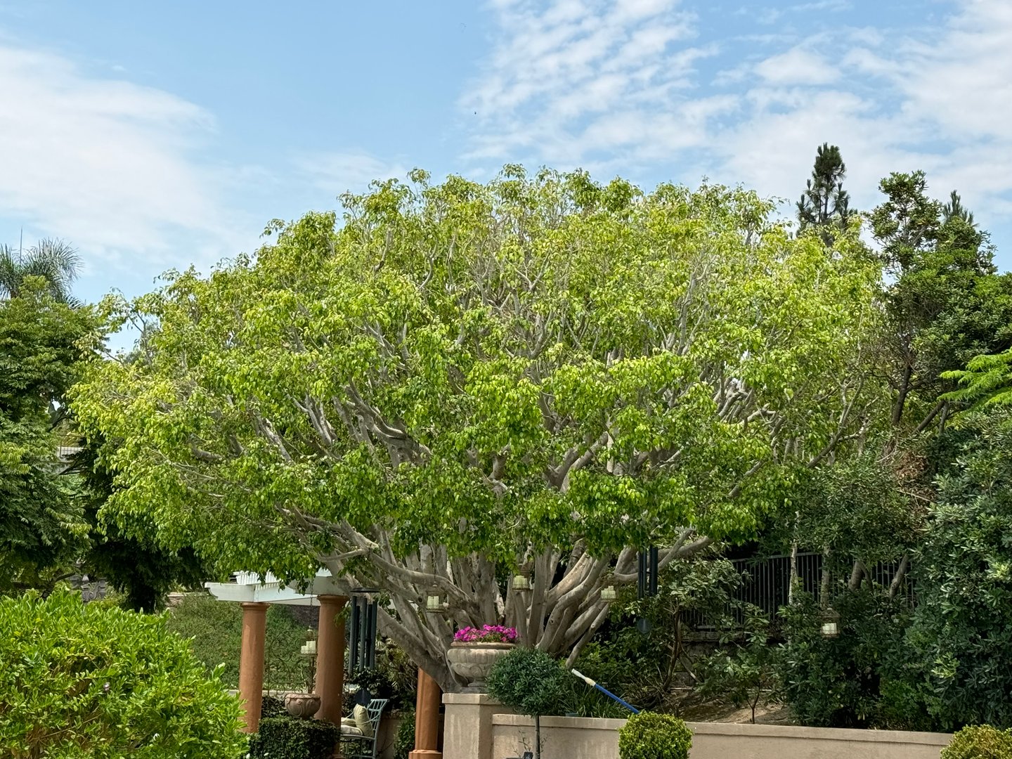 Leon Landscape Corp project showcase