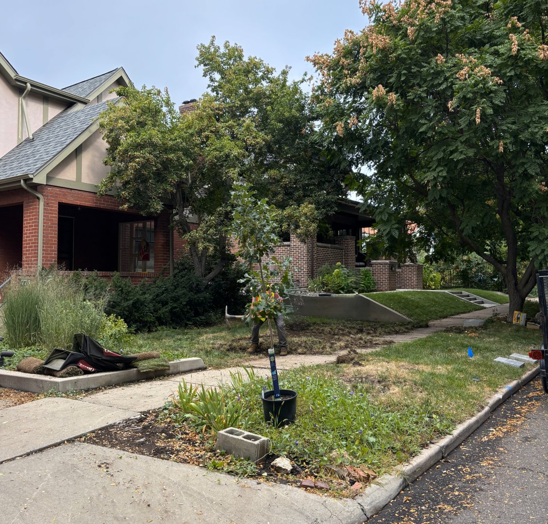 Before landscape transformation