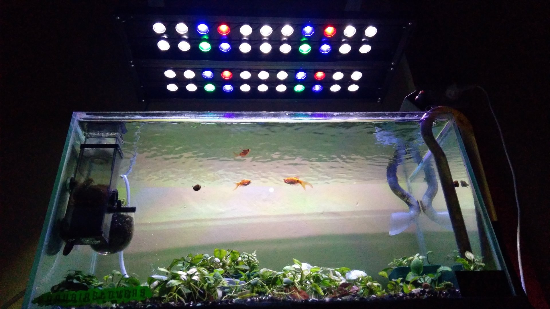 Aquascape with special lights for photosynthesis of aquatic plants