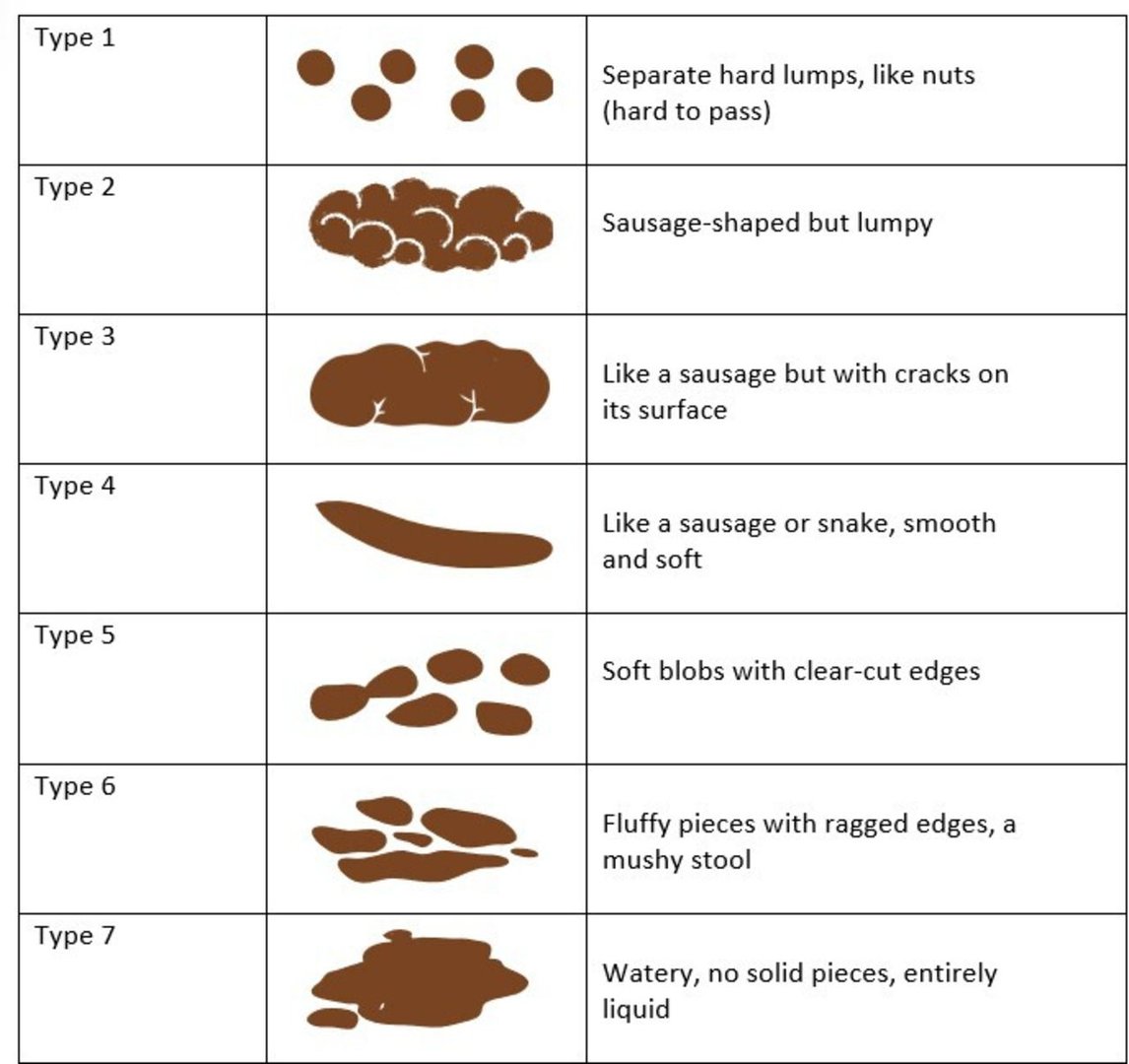 Bristol Stool Chart - Κλίμακα Αξιολόγησης Κοπράνων