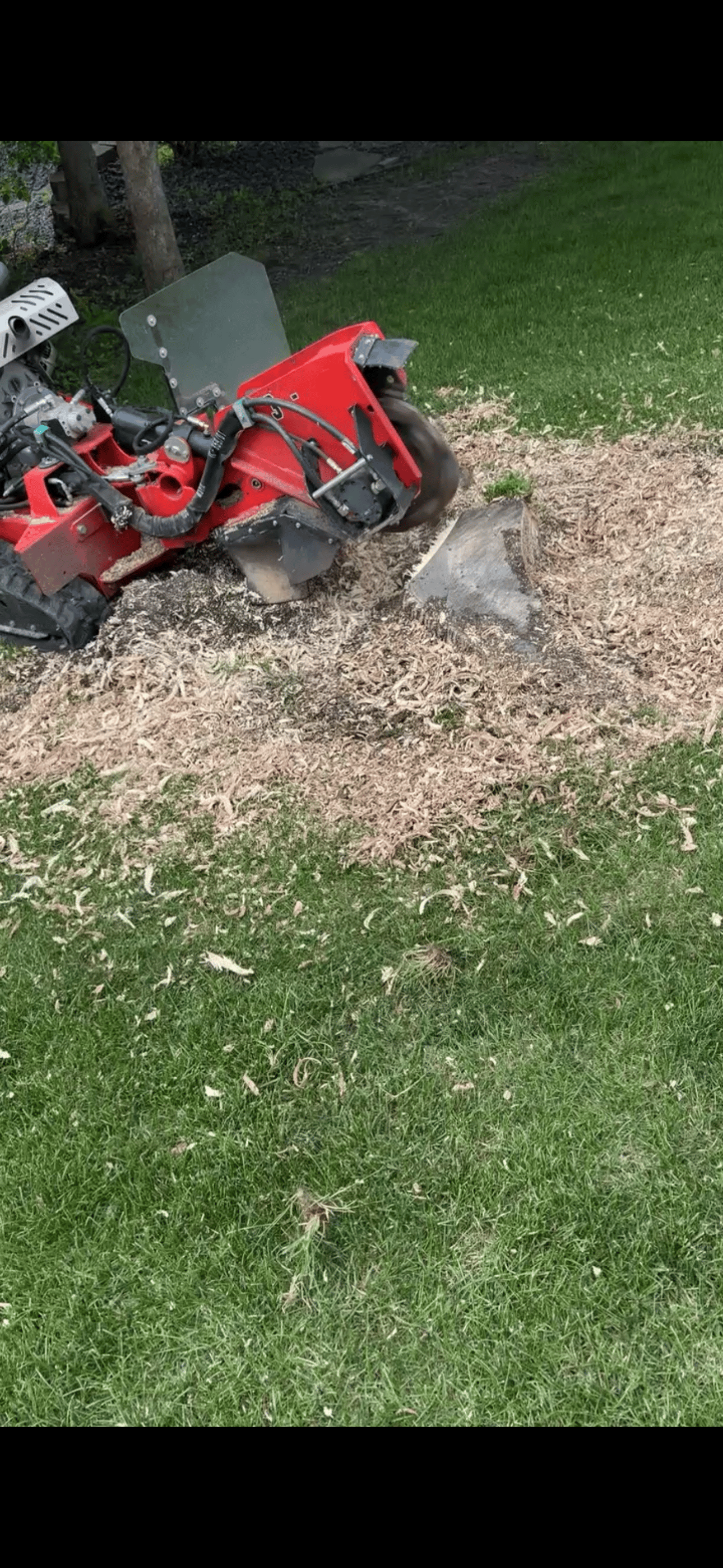 Stump grinding service