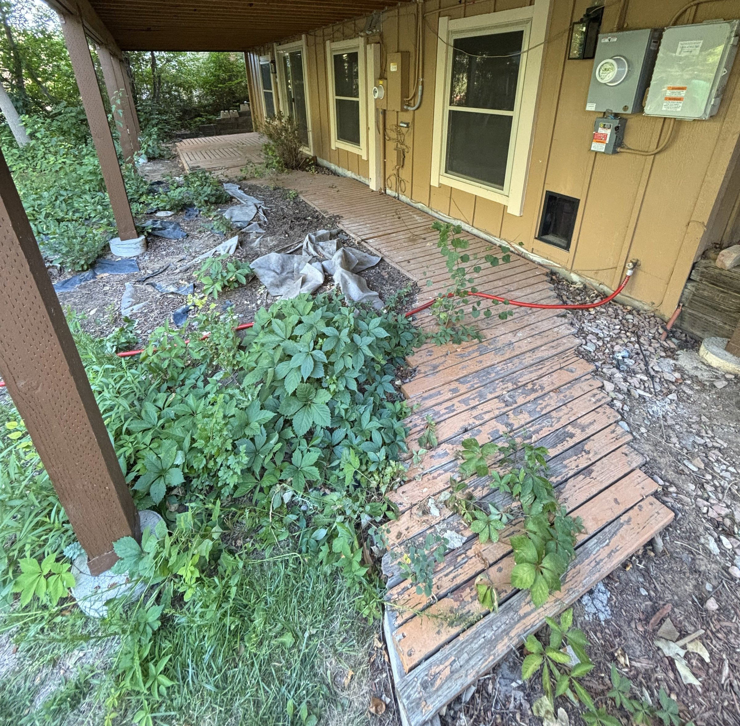 Before landscaping transformation