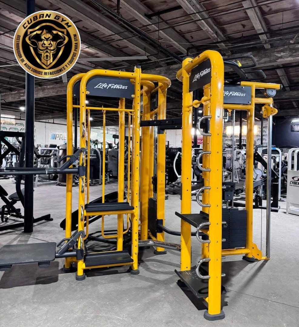 Jaula Synergy 360 Life Fitness 4 Estaciones