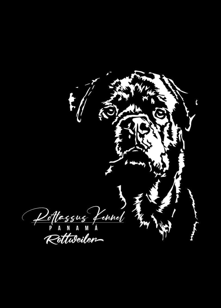 Rottassus Kennel - Rottweiler Panamá