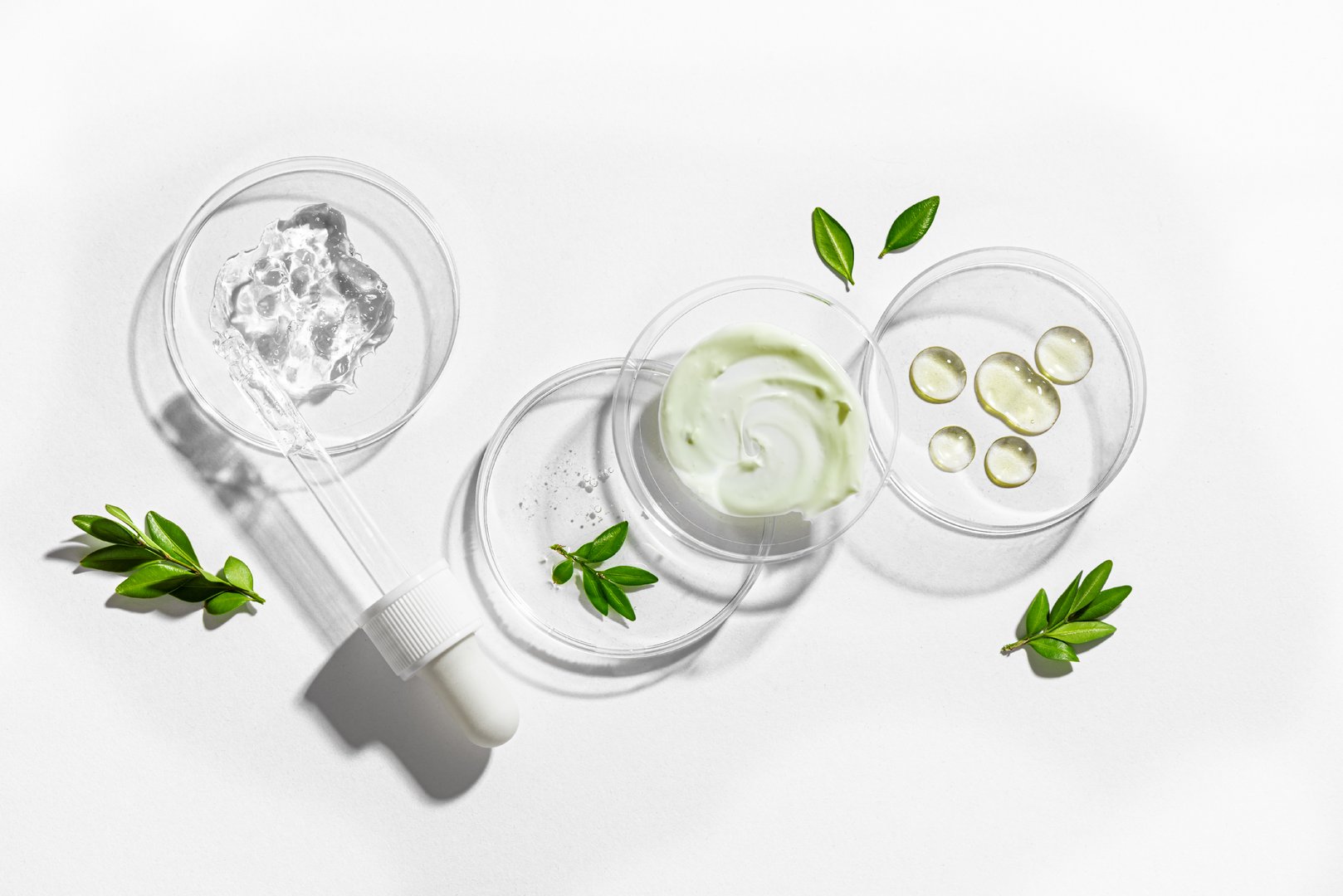 Natural skin care products swatches in petri dish with dropper and green plants isolated on white background. Trendy composition of beauty product sample with hard shadows, organic vegan plant based skin care concept.