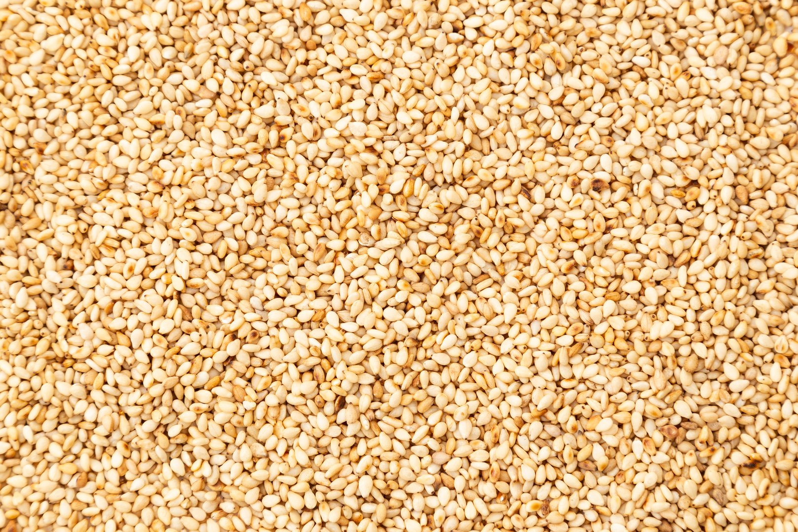 Roasted sesame seeds.