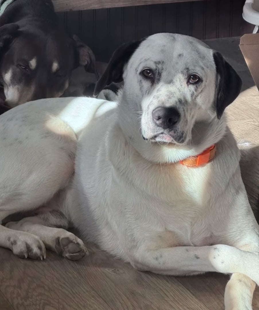 Children at Mindful Journey Academy