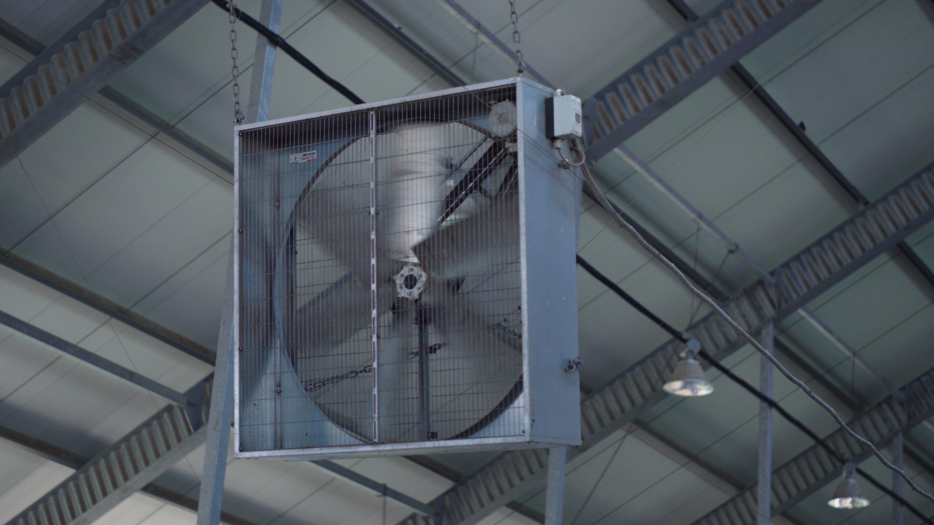 Industrial ventilation fan in modern cowshed