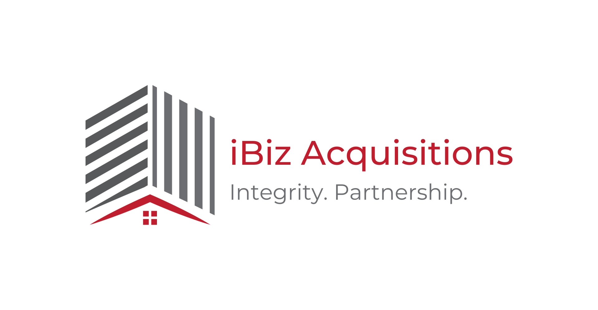 iBiz Acquisitions