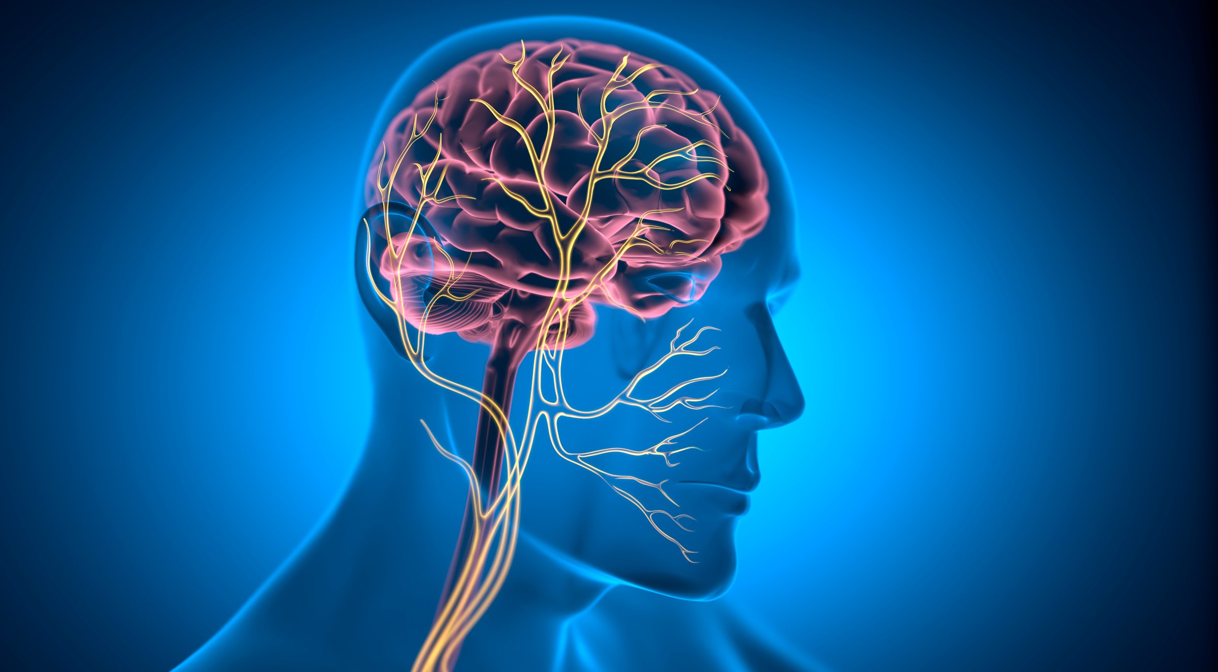 X Ray style 3D rendering  of Vagus Nerve Stimulation with glowing nerve fibers - 3D illustration