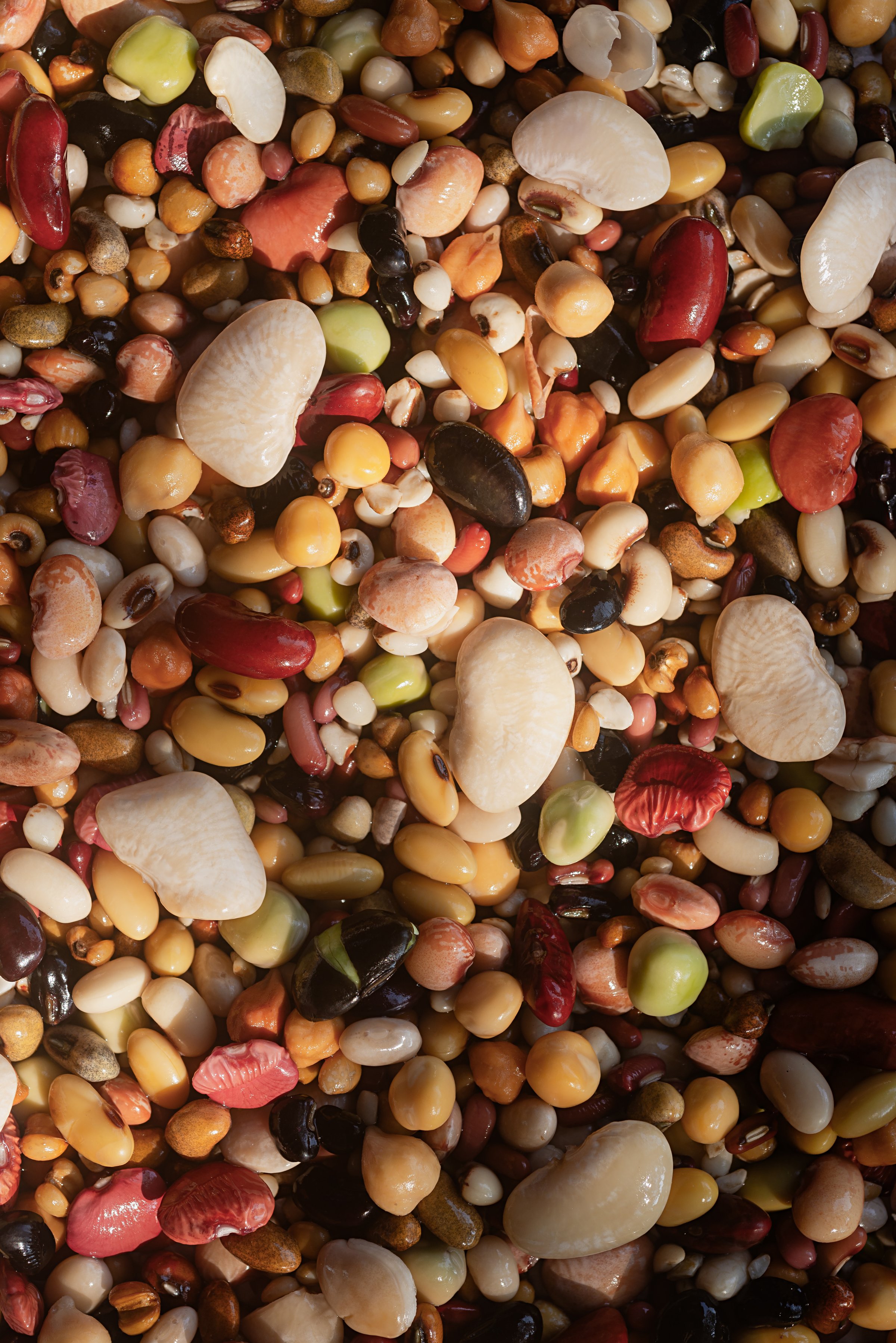 Mixed dried legumes: peas, lentils, beans, haricot, buckwheat, chickpea. food texture background, after soaking for 24 hour, Top view image.