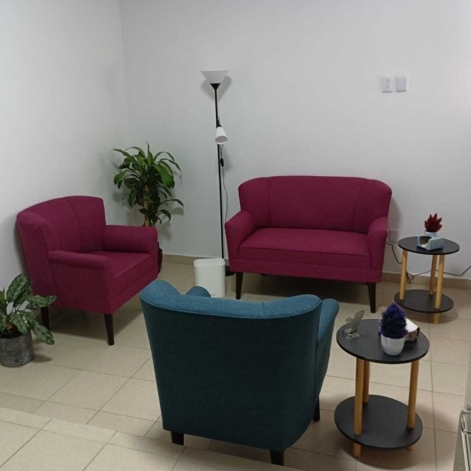 Room with pink and blue armchairs, a matching sofa, round tables, floor lamp, and potted plants on tiled floor.