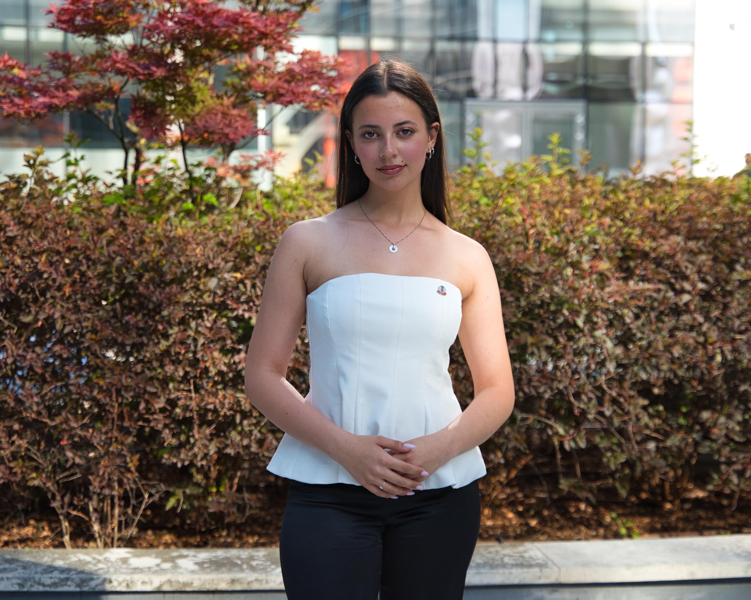 Second image for Director Imagine