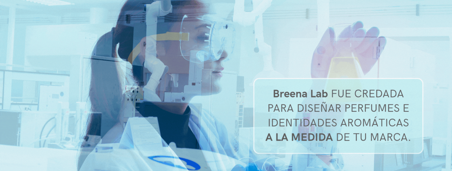 Banner Breena Lab