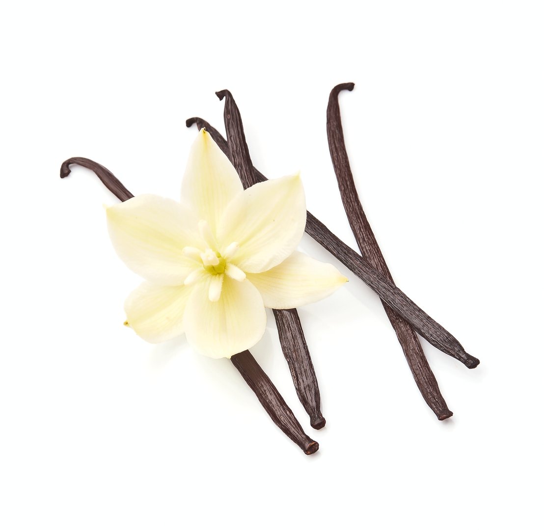 Vanilla stick with flower on white backgrounds