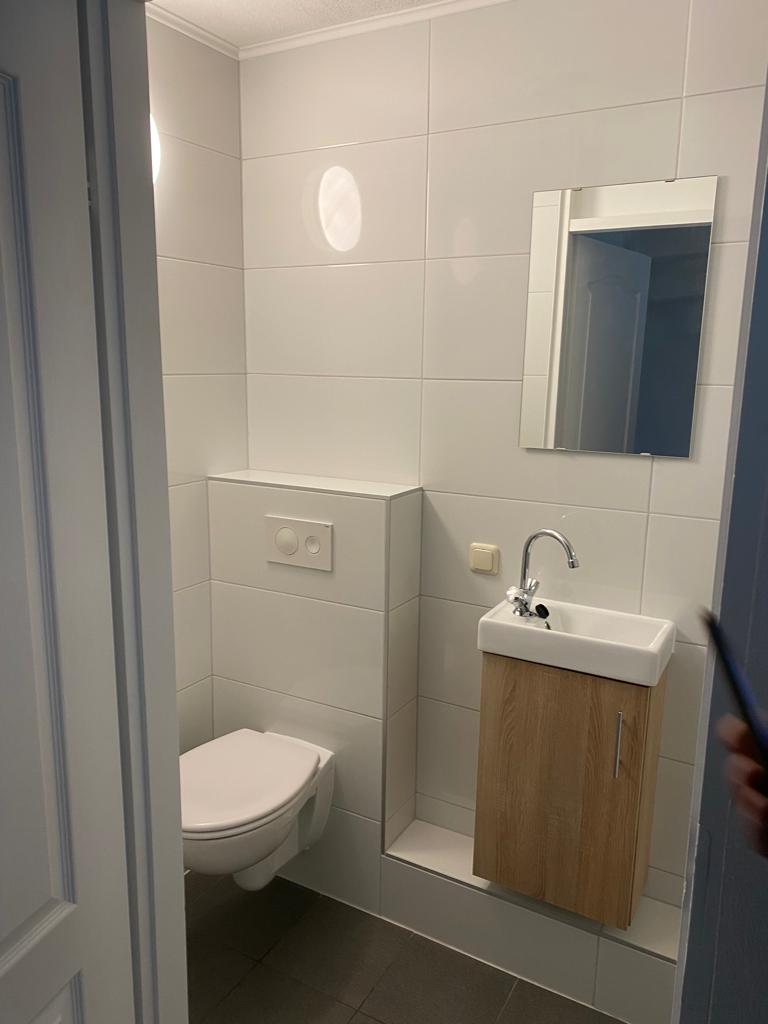 compact toilet studio badkamer verbouwing oss