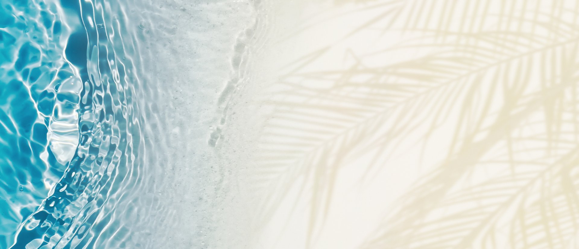 palm leaf shadow and blue water wave at sand beach from above, empty tropical nature background banner concept with copy space for travel, vacation and relaxation outdoors