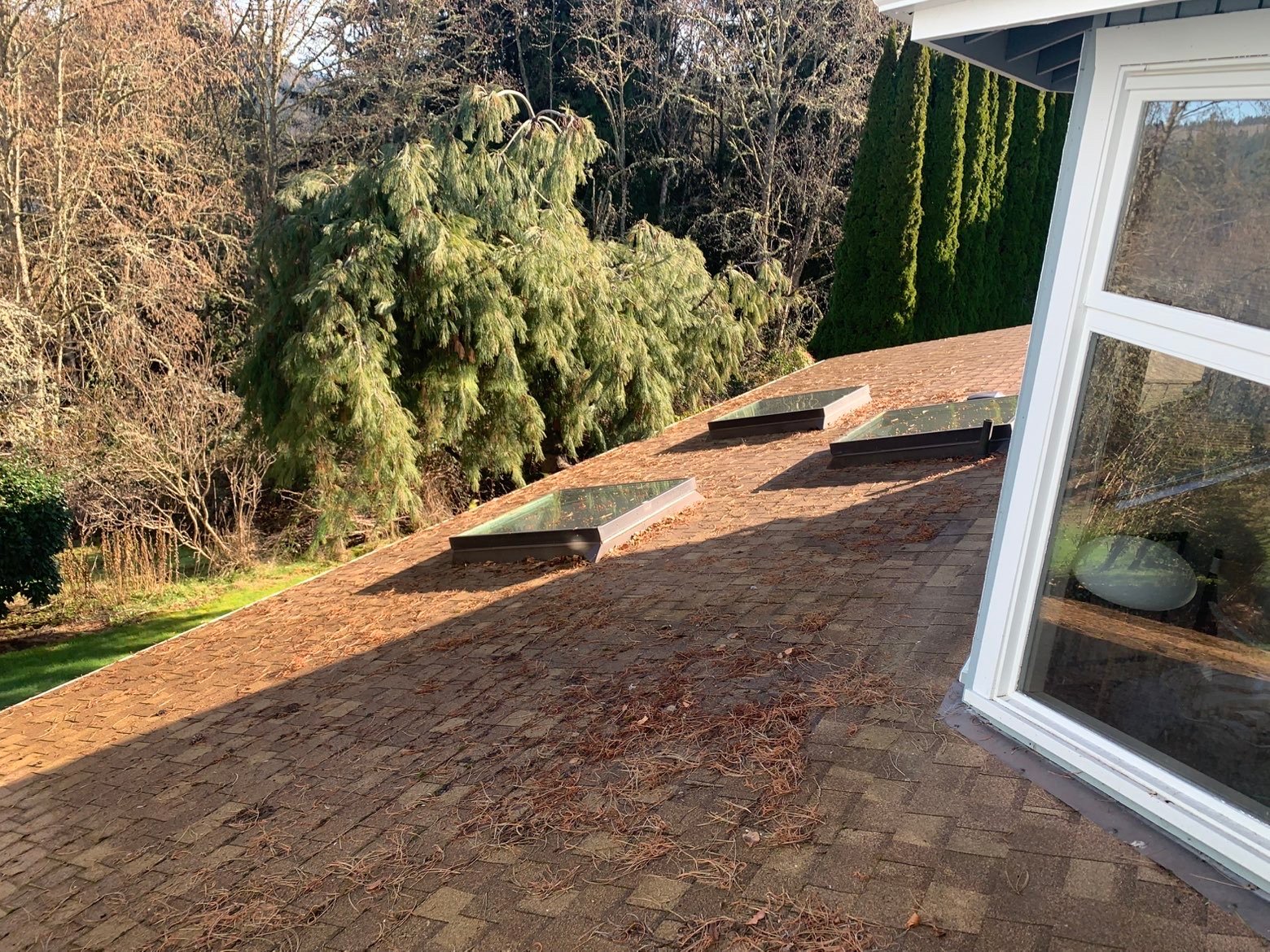 Professional cleaning service by Nicholson's Cleaning