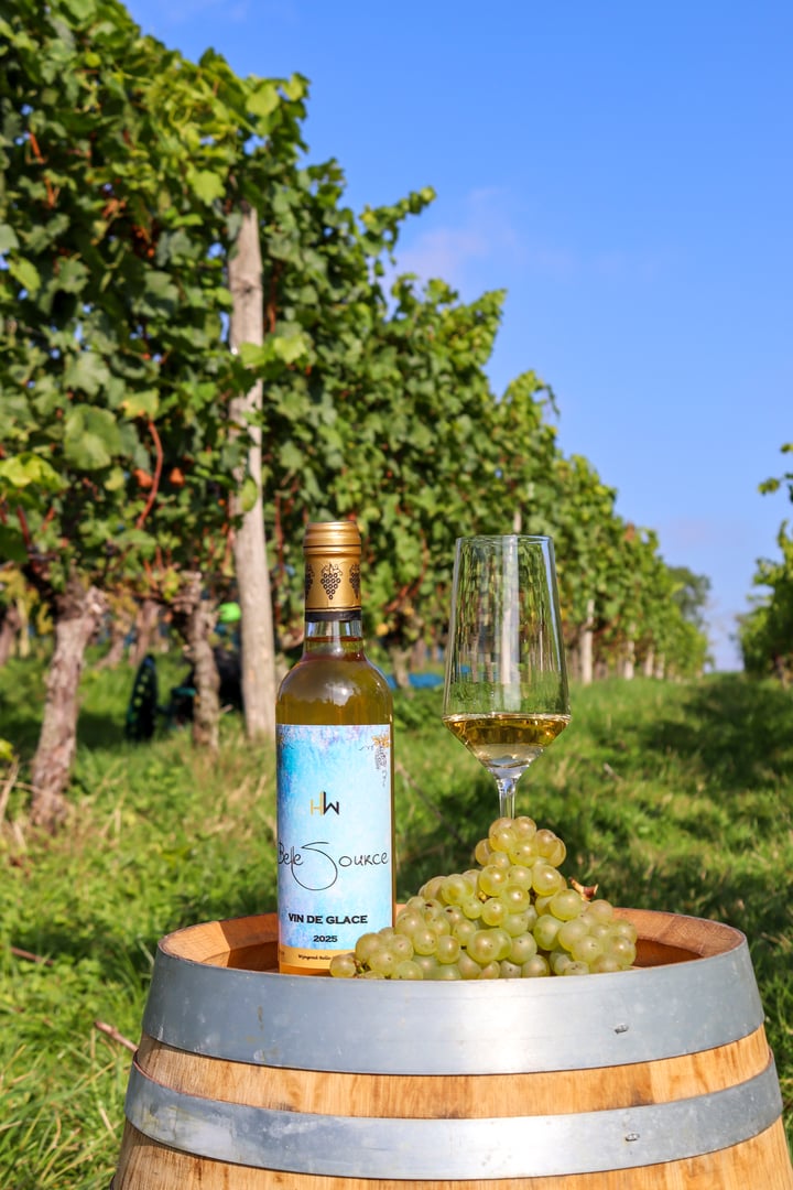 Belle Source Vin de Glace wine bottle
