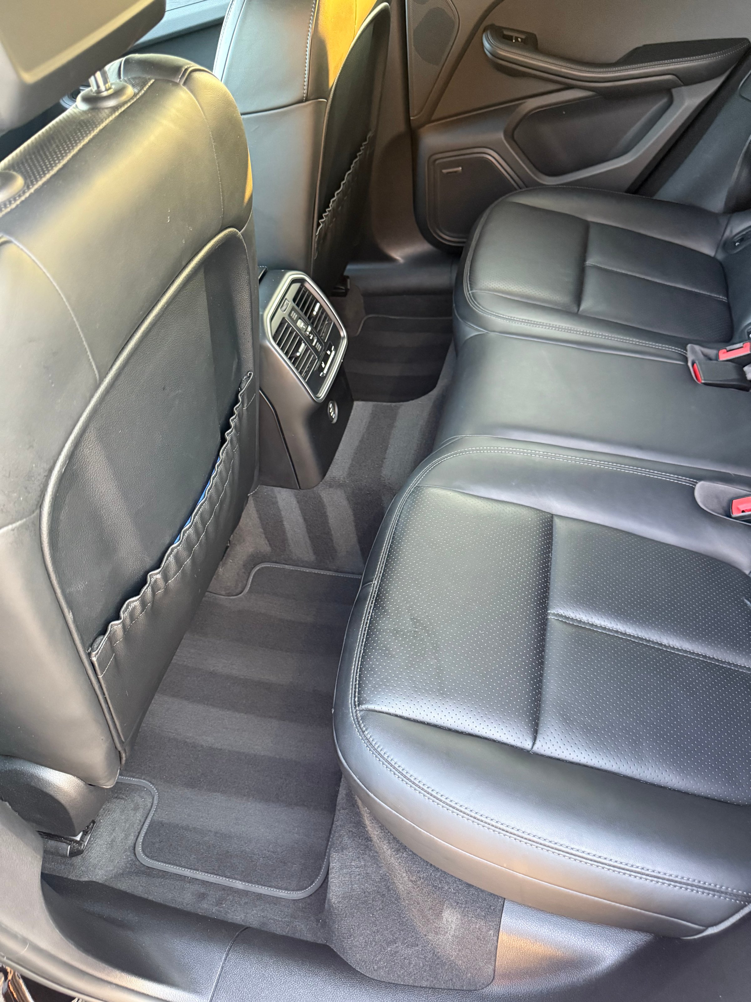 Tesla Model S Professional Detailing