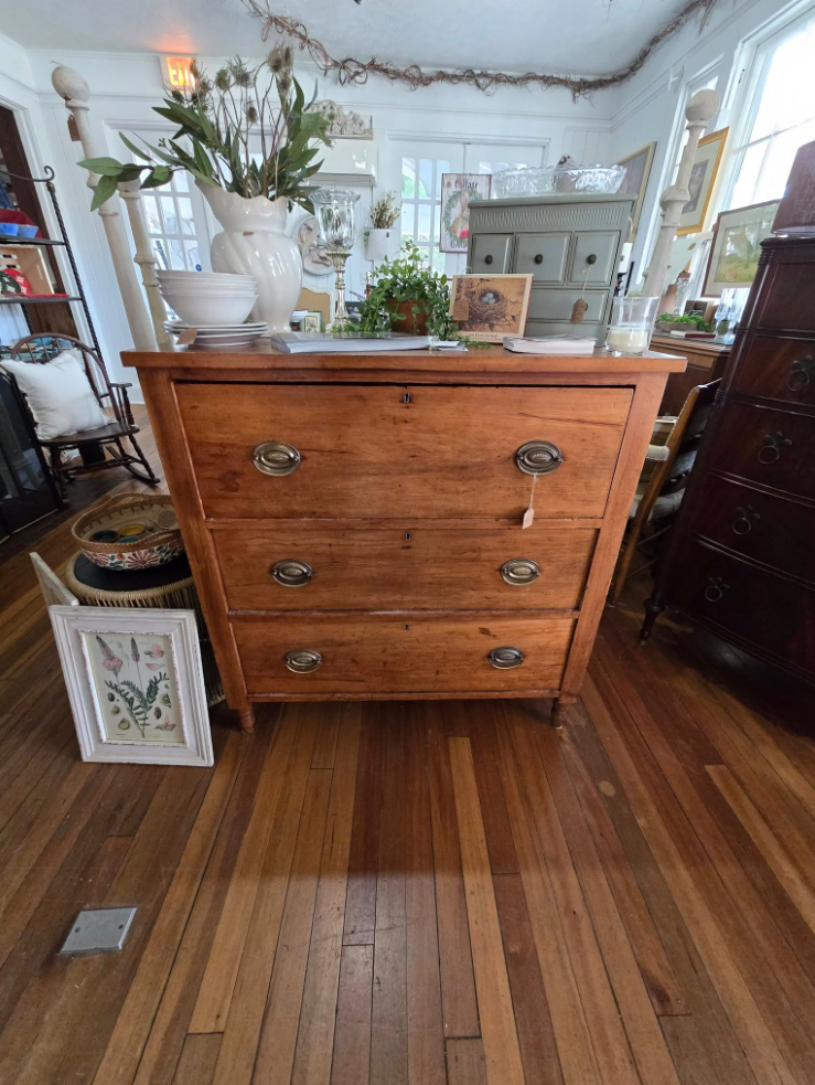 Store gallery showcase