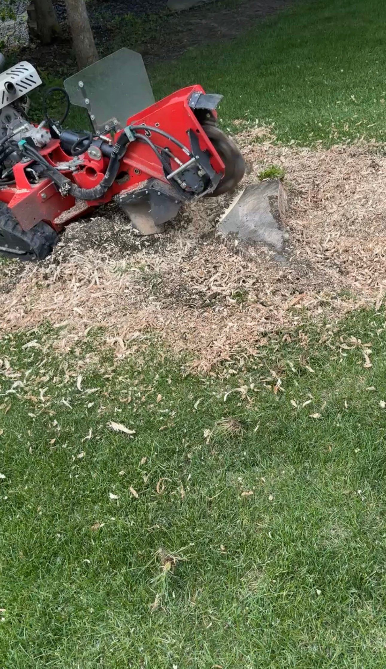 Stump grinding service