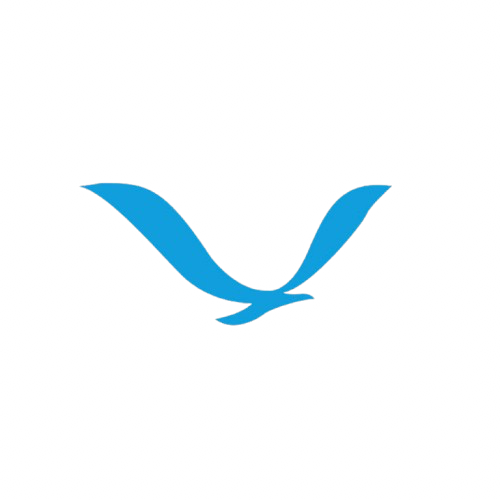 FeelJets Logo